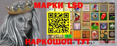 гидропоника Заволжье