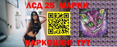гидропоника Заволжье