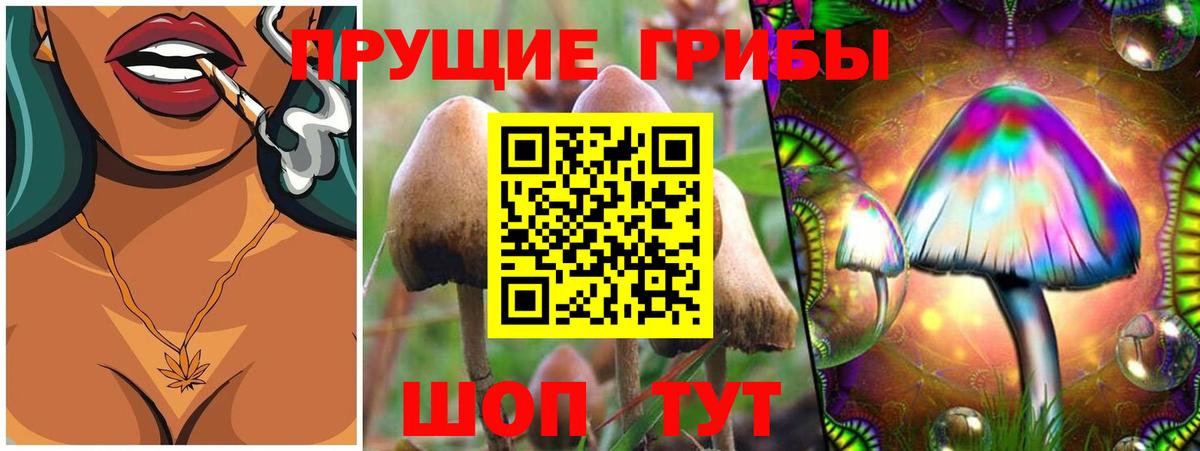 Псилоцибиновые грибы Magic Shrooms Дальнегорск