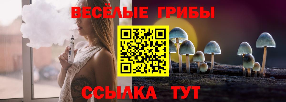Дальнегорск  Галлюциногенные грибы ЛСД  Вход с VPN  Псилоцибиновые грибы Psilocybe 
